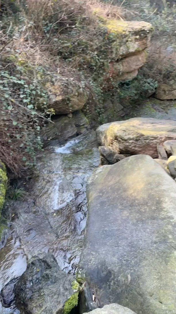 【惠聚安康 福龙呈祥】十二条龙行好运之黄塘镇：水岸原乡，幸福黄塘